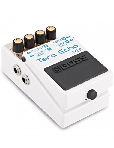 Boss TE-2 Tera Echo