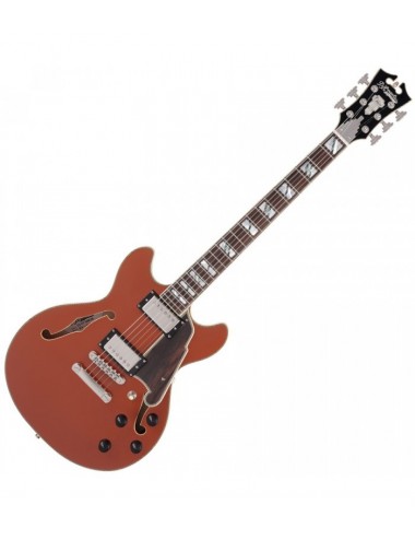 DAngelico Deluxe Mini DC...