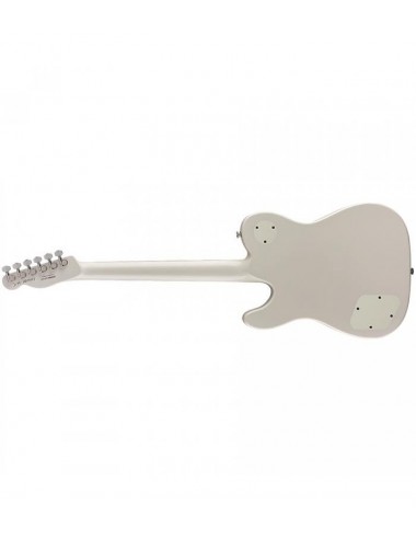 Fender Artist Jim Adkins...