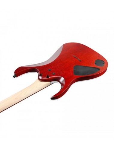 Ibanez RGA42FM-TGF...