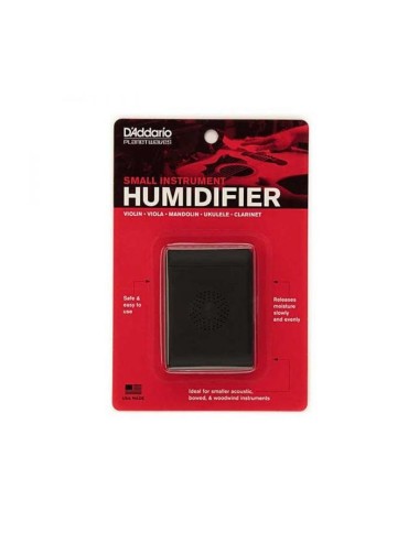 Planet Waves Small...