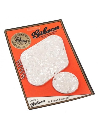 Gibson LP PRDK100 Kit tapas...