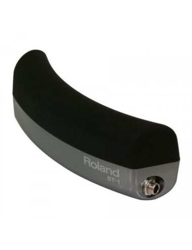 Roland BT-1