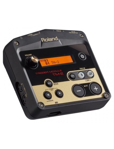 Roland TM-2