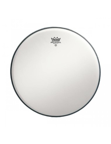 Remo Ambassador Suede 12...