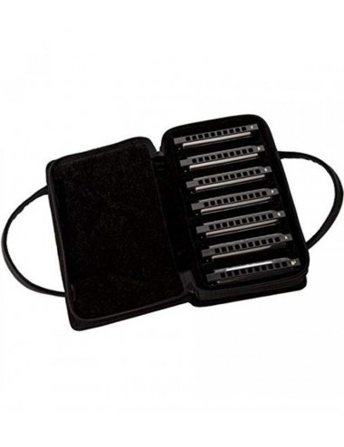 Fender Blues Deluxe...