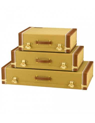 Fender Pedalboard Estuche...