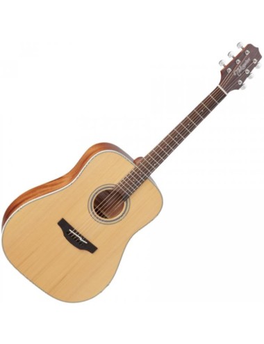 Takamine GD20-NS