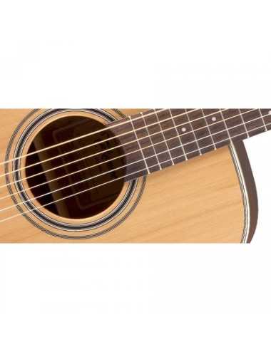 Takamine GD20-NS