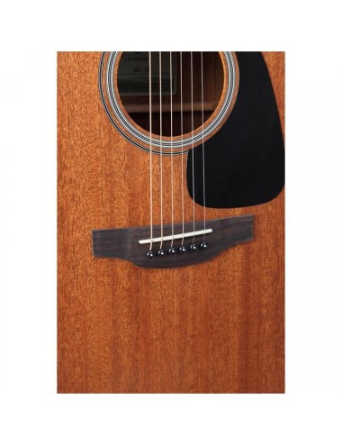 Takamine GD11MCE-NS