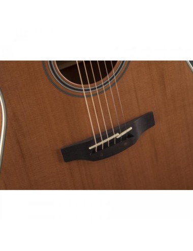 Takamine GN20CE-NS