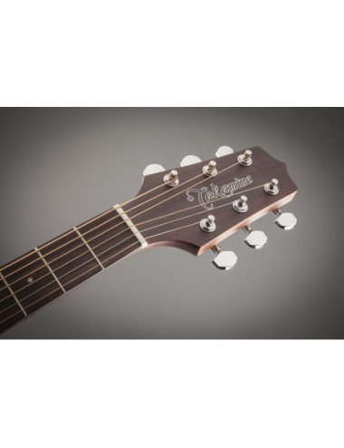 Takamine GN20CE-NS
