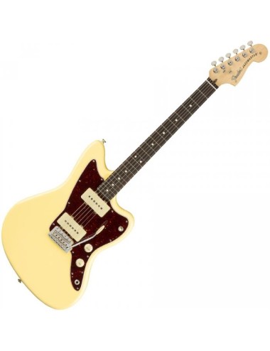 Fender AM Performer...