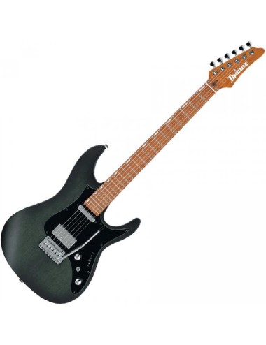 Ibanez EH10-TGM Erick...
