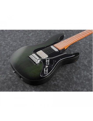 Ibanez EH10-TGM Erick...