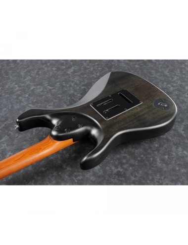 Ibanez EH10-TGM Erick...