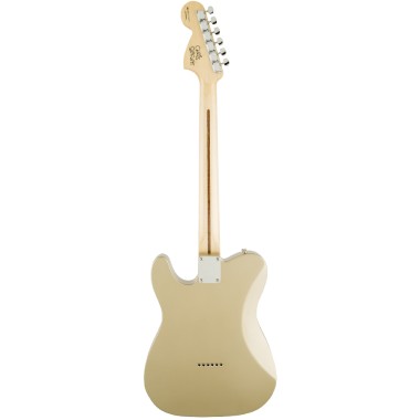 Fender Artist Chris...