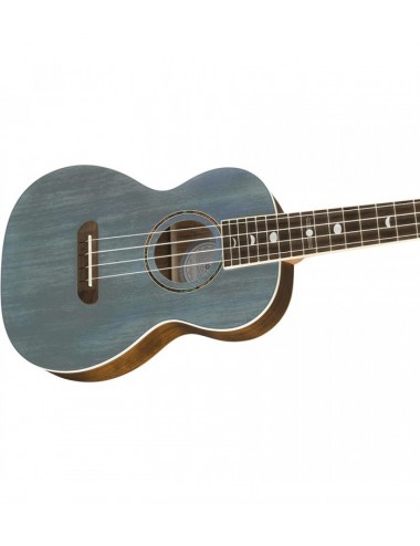 Fender Dhani Harrison...