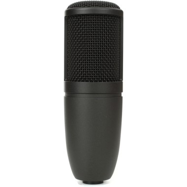 AKG P120