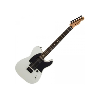 Fender Artist Jim Root Tele...