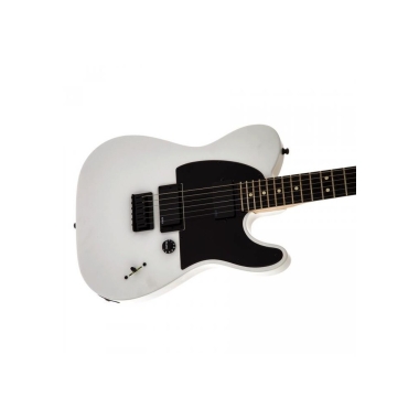 Fender Artist Jim Root Tele...
