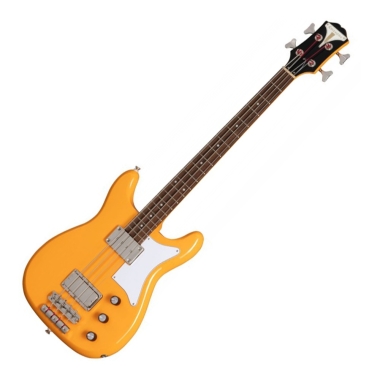 Epiphone Newport Bass CC