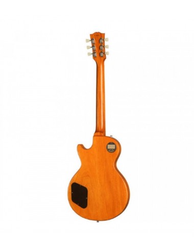 Gibson CS Murphy Lab...