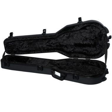 Epiphone Adam Jones 1979...