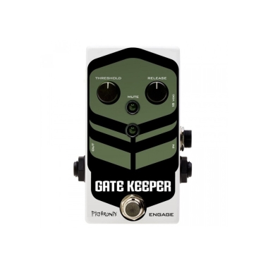 Pigtronix Gate Keeper Noise...