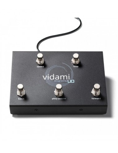 Vidami Video Looper