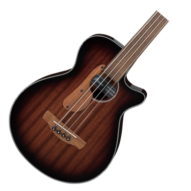 Ibanez AEGB24FE-MHS