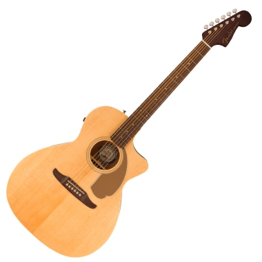 Fender Newporter Player WN...