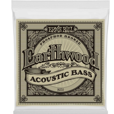 Ernie Ball 2070 Earthwood...