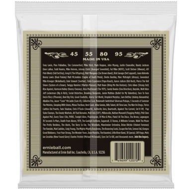Ernie Ball 2070 Earthwood...