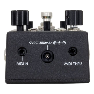 Walrus Audio Canvas Rehearsal