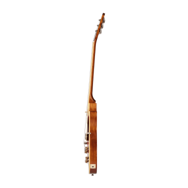 Epiphone Les Paul Standard...