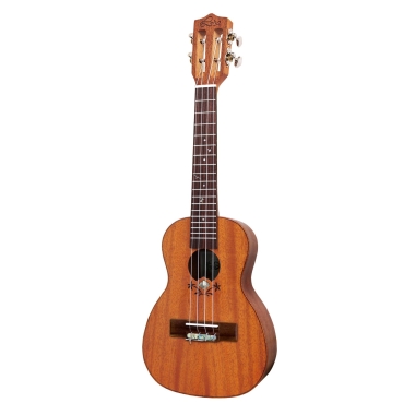 Leho Concierto Celebration...