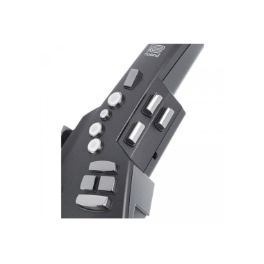 Roland AE-10G Aerophone