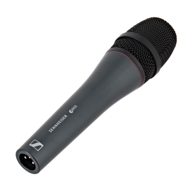Sennheiser E865