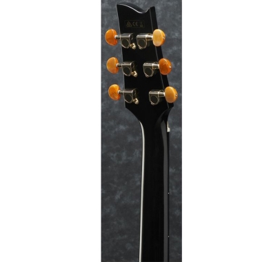 Ibanez EP5-BP Steve Vai...