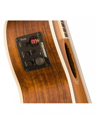 Fender Rincon Tenor V2 SB