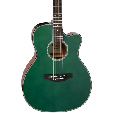 Takamine  LTD 2025 -...