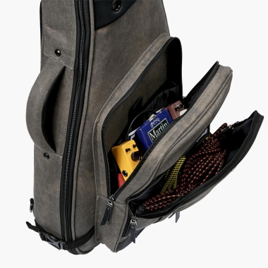 MUSIC AREA DRAGON Guitarra...