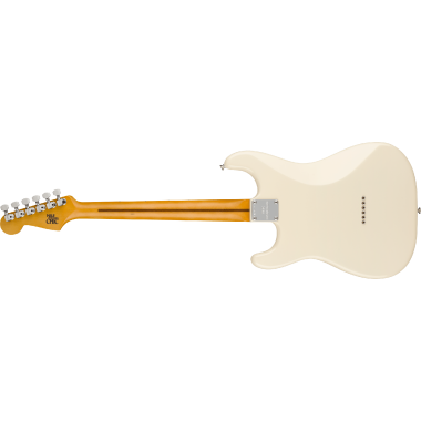 Fender AM Artist Nile...