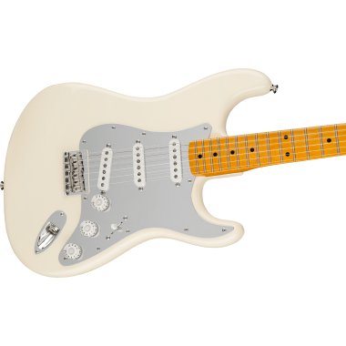 Fender AM Artist Nile...