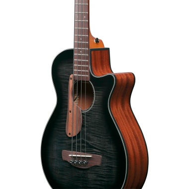 Ibanez AEGB25E-TKH