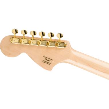 Fender Squier Troublemaker...