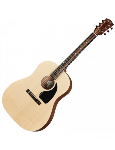 Gibson G-45 NAT Generation