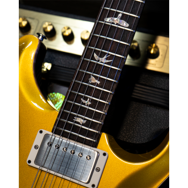 PRS DGT Gold Top Birds FIRMADA
