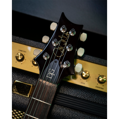 PRS DGT Gold Top Birds FIRMADA